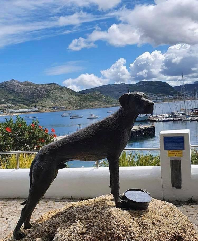 Eindelik Villa Simon's Town Eksteriør billede